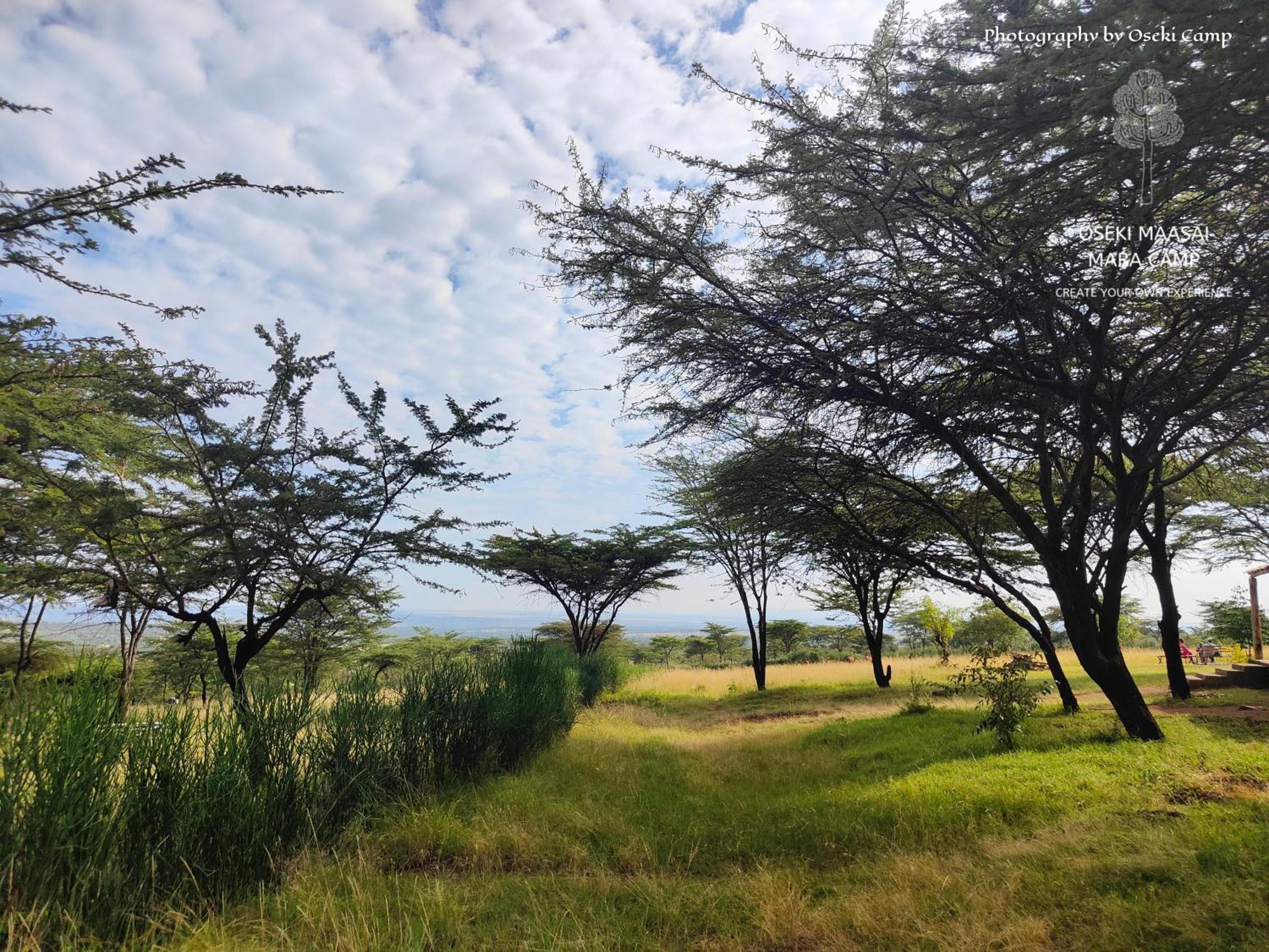 Oseki Maasai Mara Camp Hotel Narok Exterior foto